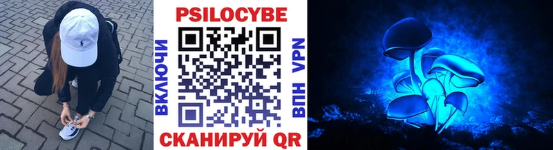 Псилоцибиновые грибы прущие грибы  KRAKEN ссылки  Лянтор 